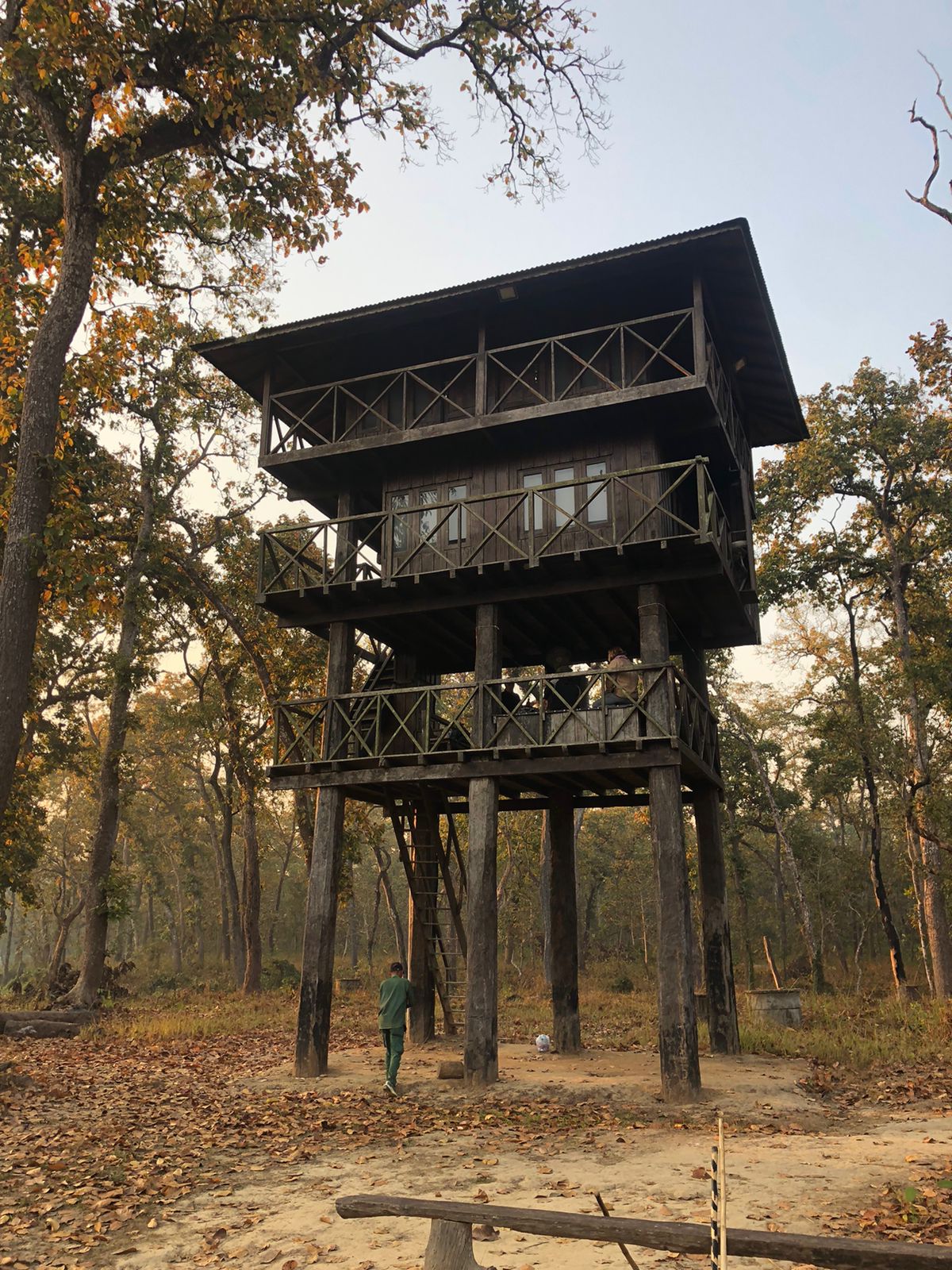 Wilderness Overnight